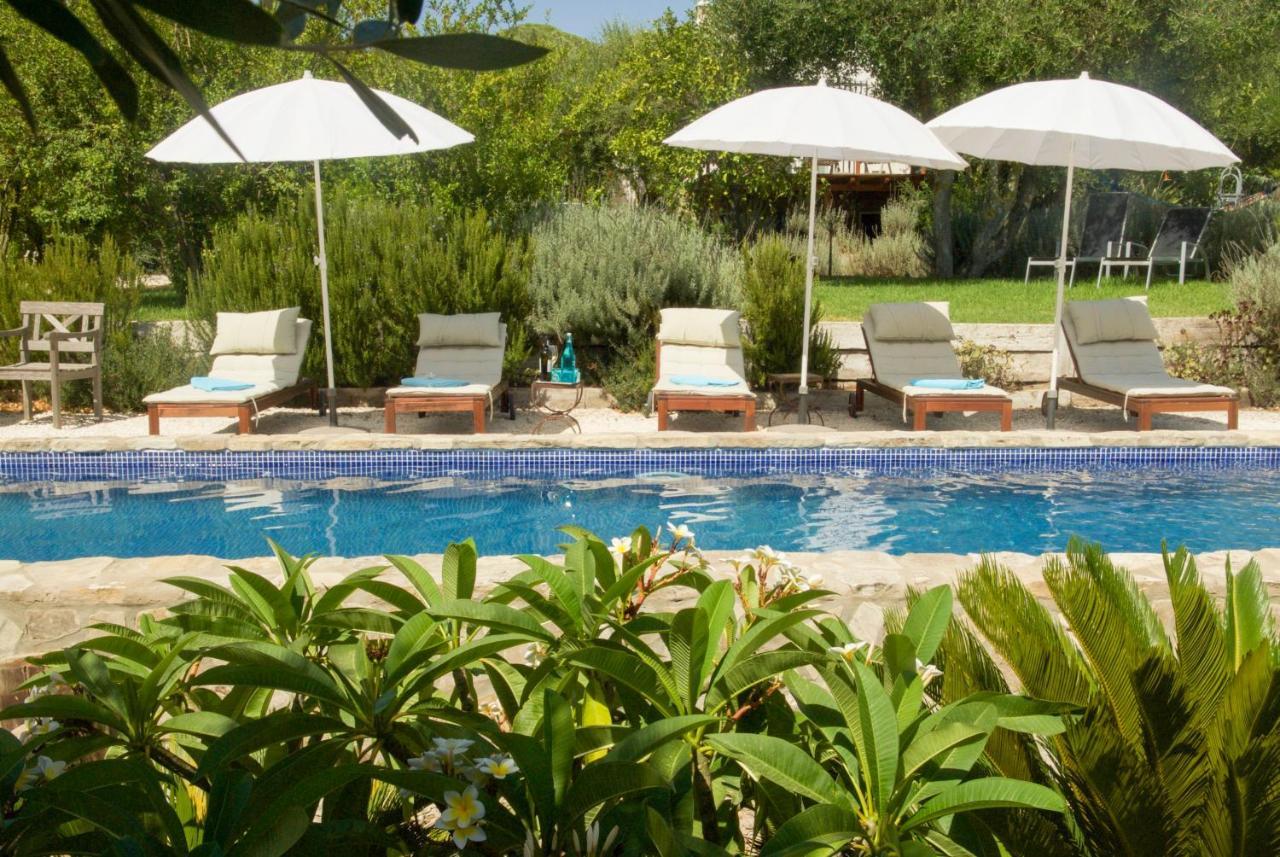 Finca Meerlust - Las Ballenas Los Canos De Meca Ngoại thất bức ảnh