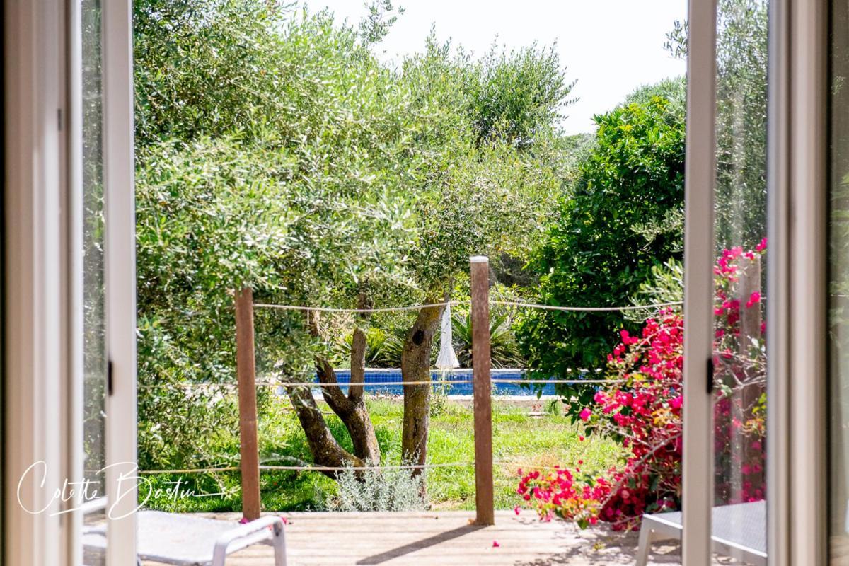 Finca Meerlust - Las Ballenas Los Canos De Meca Ngoại thất bức ảnh